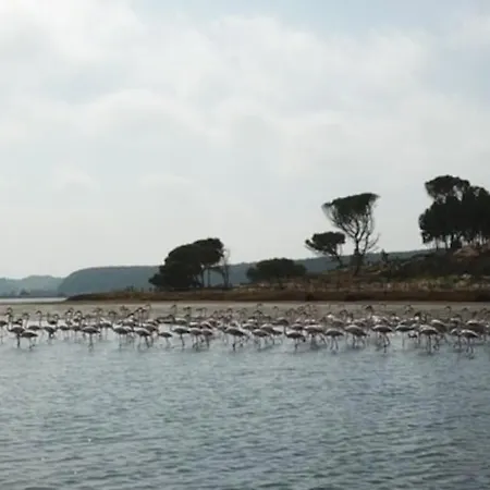 Casa Da Alegria Villa